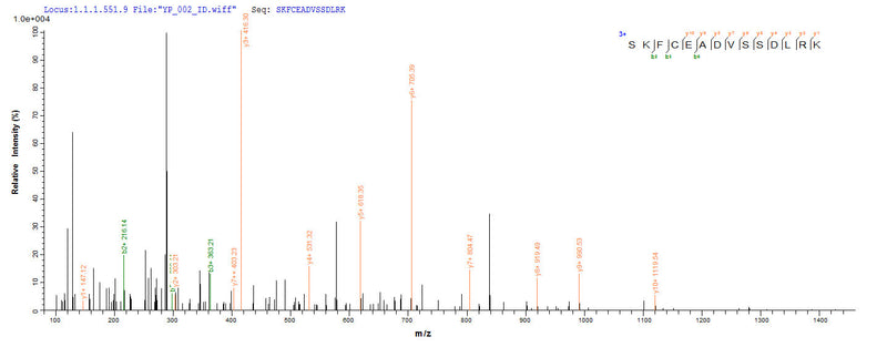 Based on the SEQUEST from database of E.coli host and target protein, the LC-MS/MS Analysis result of this product could indicate that this peptide derived from E.coli-expressed Homo sapiens (Human) C4orf27.Recombinant Human Histone Parylation Factor 1 (HPF1) Protein (His-SUMO&Myc)