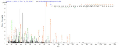 Based on the SEQUEST from database of E.coli host and target protein, the LC-MS/MS Analysis result of this product could indicate that this peptide derived from E.coli-expressed Homo sapiens (Human) C4orf27.Recombinant Human Histone Parylation Factor 1 (HPF1) Protein (His-SUMO&Myc)