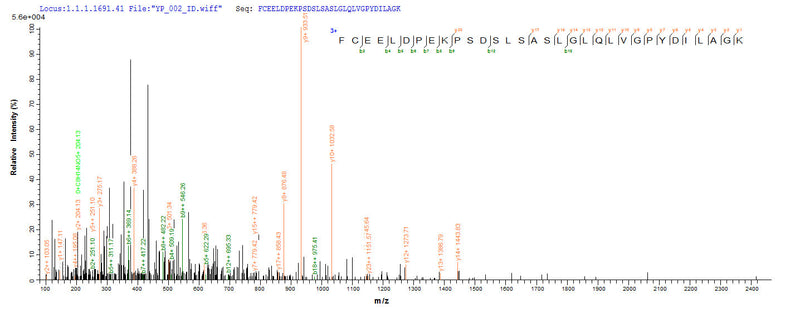 Based on the SEQUEST from database of E.coli host and target protein, the LC-MS/MS Analysis result of this product could indicate that this peptide derived from E.coli-expressed Homo sapiens (Human) C4orf27.Recombinant Human Histone Parylation Factor 1 (HPF1) Protein (His-SUMO&Myc)