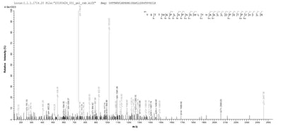 Based on the SEQUEST from database of E.coli host and target protein, the LC-MS/MS Analysis result of this product could indicate that this peptide derived from E.coli-expressed Homo sapiens (Human) DCAF16.Recombinant Human Ddb1- And Cul4-Associated Factor 16 (DCAF16) Protein (His&Myc)