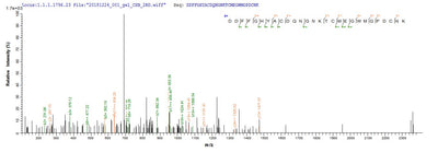 Based on the SEQUEST from database of E.coli host and target protein, the LC-MS/MS Analysis result of this product could indicate that this peptide derived from E.coli-expressed Mus musculus (Mouse) Jag1.