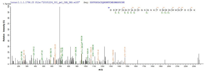 Based on the SEQUEST from database of E.coli host and target protein, the LC-MS/MS Analysis result of this product could indicate that this peptide derived from E.coli-expressed Mus musculus (Mouse) Jag1.
