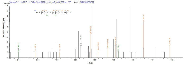Based on the SEQUEST from database of E.coli host and target protein, the LC-MS/MS Analysis result of this product could indicate that this peptide derived from E.coli-expressed Mus musculus (Mouse) Jag1.