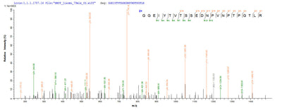Based on the SEQUEST from database of E.coli host and target protein, the LC-MS/MS Analysis result of this product could indicate that this peptide derived from E.coli-expressed Cupressus arizonica (Arizona cypress) (Callitropsis arizonica) Pectate lyase 1.Recombinant Hesperocyparis Arizonica Pectate Lyase 1 Protein (His&Myc)
