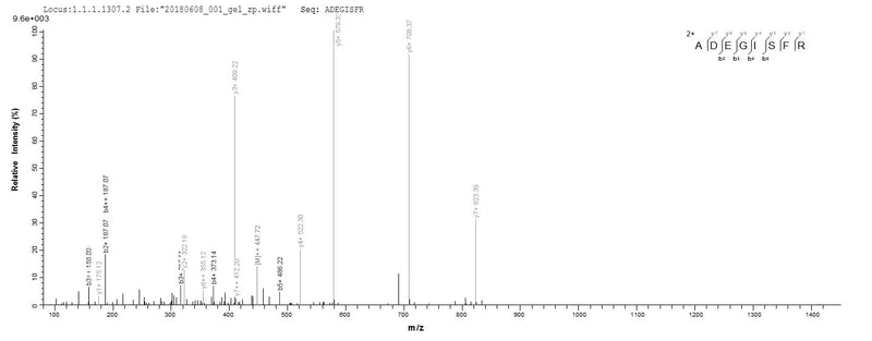 Based on the SEQUEST from database of E.coli host and target protein, the LC-MS/MS Analysis result of this product could indicate that this peptide derived from E.coli-expressed Cricetulus griseus (Chinese hamster) (Cricetulus barabensis griseus) PRDX1.Recombinant Chinese Hamster Peroxiredoxin-1 (PRDX1) Protein (His)