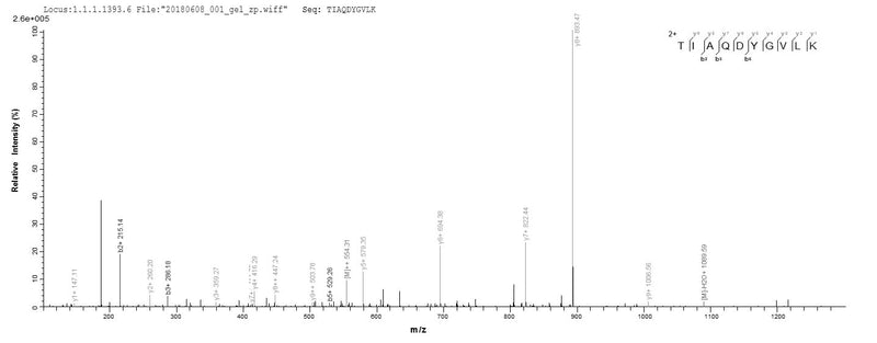 Based on the SEQUEST from database of E.coli host and target protein, the LC-MS/MS Analysis result of this product could indicate that this peptide derived from E.coli-expressed Cricetulus griseus (Chinese hamster) (Cricetulus barabensis griseus) PRDX1.Recombinant Chinese Hamster Peroxiredoxin-1 (PRDX1) Protein (His)