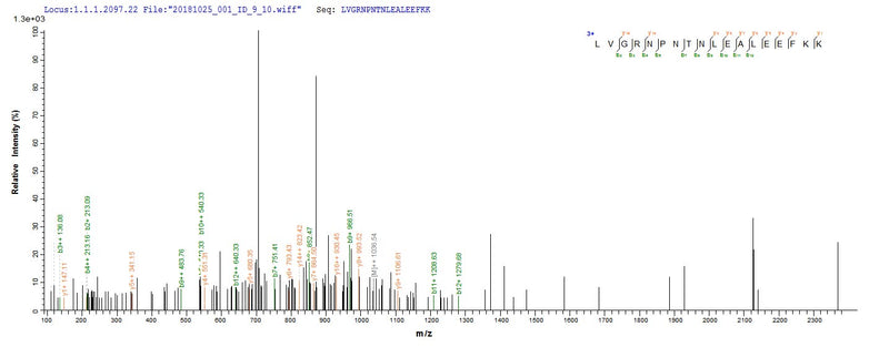 Based on the SEQUEST from database of E.coli host and target protein, the LC-MS/MS Analysis result of this product could indicate that this peptide derived from E.coli-expressed Homo sapiens (Human) OBP2A.Recombinant Human Odorant-Binding Protein 2A (OBP2A) Protein (His-SUMO)