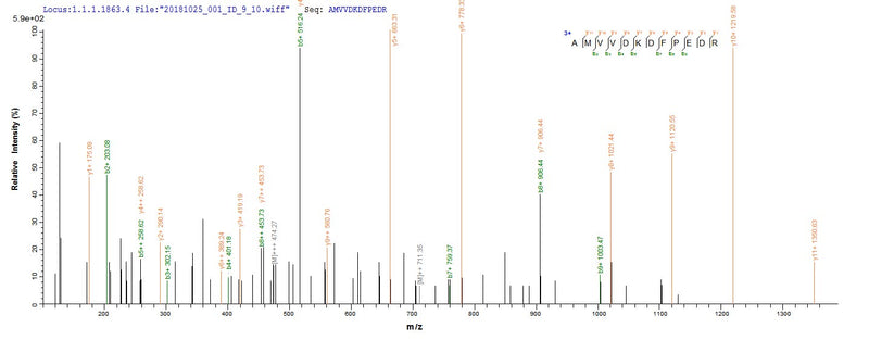 Based on the SEQUEST from database of E.coli host and target protein, the LC-MS/MS Analysis result of this product could indicate that this peptide derived from E.coli-expressed Homo sapiens (Human) OBP2A.Recombinant Human Odorant-Binding Protein 2A (OBP2A) Protein (His-SUMO)