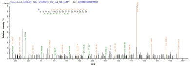 Based on the SEQUEST from database of E.coli host and target protein, the LC-MS/MS Analysis result of this product could indicate that this peptide derived from E.coli-expressed Mus musculus (Mouse) C1qtnf3.Recombinant Mouse Complement C1Q Tumor Necrosis Factor-Related Protein 3 (C1QTNF3) Protein (His&Myc)