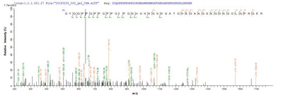Based on the SEQUEST from database of E.coli host and target protein, the LC-MS/MS Analysis result of this product could indicate that this peptide derived from E.coli-expressed Mus musculus (Mouse) C1qtnf3.Recombinant Mouse Complement C1Q Tumor Necrosis Factor-Related Protein 3 (C1QTNF3) Protein (His&Myc)
