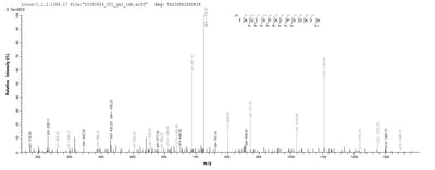 Based on the SEQUEST from database of E.coli host and target protein, the LC-MS/MS Analysis result of this product could indicate that this peptide derived from E.coli-expressed Mus musculus (Mouse) Htra1.Recombinant Mouse Serine Protease Htra1 (HTRA1) Protein (His)