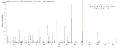 Based on the SEQUEST from database of E.coli host and target protein, the LC-MS/MS Analysis result of this product could indicate that this peptide derived from E.coli-expressed Trypanosoma cruzi KMP-11.