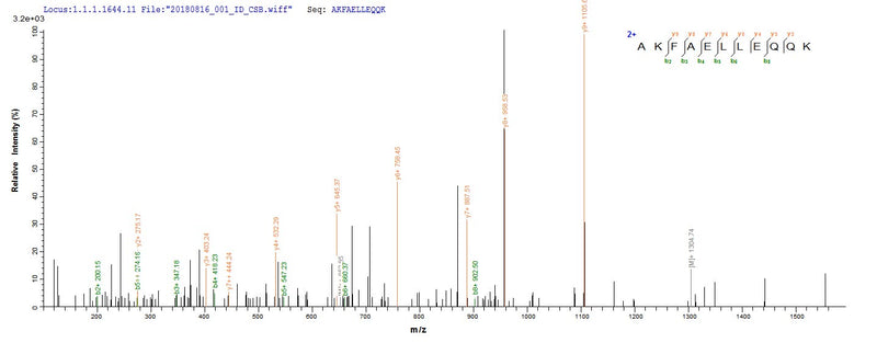 Based on the SEQUEST from database of E.coli host and target protein, the LC-MS/MS Analysis result of this product could indicate that this peptide derived from E.coli-expressed Trypanosoma cruzi KMP-11.