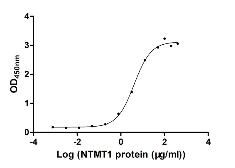 Activity Measured by its binding ability in a functional ELISA. Immobilized CCL5 at 2 μg/ml can bind human NTMT1, the EC 50 of human NTMT1 protein is 3.029-5.404 μg/ml.Recombinant Human N-Terminal Xaa-Pro-Lys N-Methyltransferase 1 (NTMT1) Protein (GST), Active