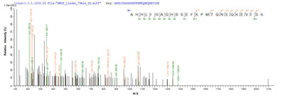 Based on the SEQUEST from database of E.coli host and target protein, the LC-MS/MS Analysis result of this product could indicate that this peptide derived from E.coli-expressed Homo sapiens (Human) IFIH1.Recombinant Human Interferon-Induced Helicase C Domain-Containing Protein 1 (IFIH1) Protein (His)