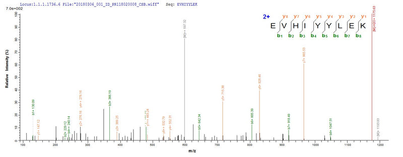 Based on the SEQUEST from database of E.coli host and target protein, the LC-MS/MS Analysis result of this product could indicate that this peptide derived from E.coli-expressed Influenza A virus (strain A/x-31 H3N2) PA.Recombinant Influenza A Virus Polymerase Acidic Protein (PA) Protein (His)