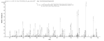 Based on the SEQUEST from database of E.coli host and target protein, the LC-MS/MS Analysis result of this product could indicate that this peptide derived from E.coli-expressed Neisseria meningitidis serogroup B (strain MC58) tbp1.Recombinant Neisseria Meningitidis Serogroup B Transferrin-Binding Protein 1 (TBP1) Protein (His&Myc)