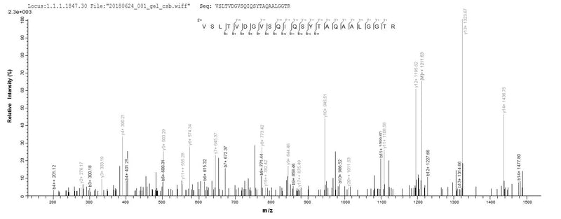 Based on the SEQUEST from database of E.coli host and target protein, the LC-MS/MS Analysis result of this product could indicate that this peptide derived from E.coli-expressed Neisseria meningitidis serogroup B (strain MC58) tbp1.Recombinant Neisseria Meningitidis Serogroup B Transferrin-Binding Protein 1 (TBP1) Protein (His&Myc)