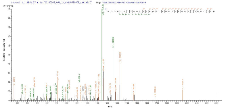 Based on the SEQUEST from database of E.coli host and target protein, the LC-MS/MS Analysis result of this product could indicate that this peptide derived from E.coli-expressed Sudan ebolavirus (strain Boniface-76) (SEBOV) (Sudan Ebola virus) NP.