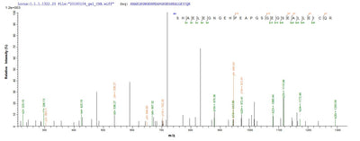 Based on the SEQUEST from database of E.coli host and target protein, the LC-MS/MS Analysis result of this product could indicate that this peptide derived from E.coli-expressed Homo sapiens (Human) POLG2.Recombinant Human Dna Polymerase Subunit Gamma-2, Mitochondrial (POLG2) Protein (His-SUMO)