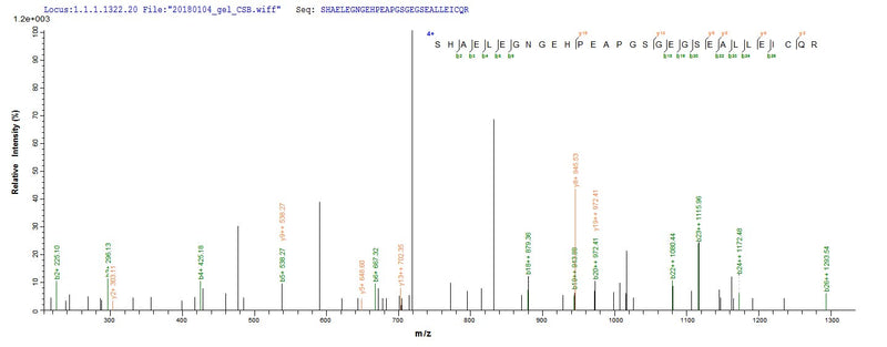 Based on the SEQUEST from database of E.coli host and target protein, the LC-MS/MS Analysis result of this product could indicate that this peptide derived from E.coli-expressed Homo sapiens (Human) POLG2.Recombinant Human Dna Polymerase Subunit Gamma-2, Mitochondrial (POLG2) Protein (His-SUMO)