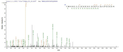 Based on the SEQUEST from database of E.coli host and target protein, the LC-MS/MS Analysis result of this product could indicate that this peptide derived from E.coli-expressed Homo sapiens (Human) TRMT112.Recombinant Human Trna Methyltransferase 112 Homolog (TRMT112) Protein (His-SUMO)