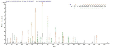 Based on the SEQUEST from database of E.coli host and target protein, the LC-MS/MS Analysis result of this product could indicate that this peptide derived from E.coli-expressed Homo sapiens (Human) TRMT112.Recombinant Human Trna Methyltransferase 112 Homolog (TRMT112) Protein (His-SUMO)