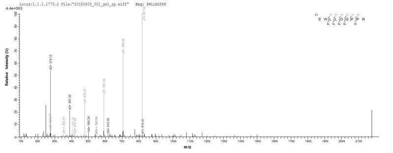 Based on the SEQUEST from database of E.coli host and target protein, the LC-MS/MS Analysis result of this product could indicate that this peptide derived from E.coli-expressed Homo sapiens (Human) AK3.Recombinant Human Gtp:Amp Phosphotransferase, Mitochondrial (AK3) Protein (His&Myc)