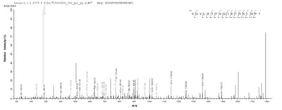 Based on the SEQUEST from database of E.coli host and target protein, the LC-MS/MS Analysis result of this product could indicate that this peptide derived from E.coli-expressed Homo sapiens (Human) AK3.Recombinant Human Gtp:Amp Phosphotransferase, Mitochondrial (AK3) Protein (His&Myc)