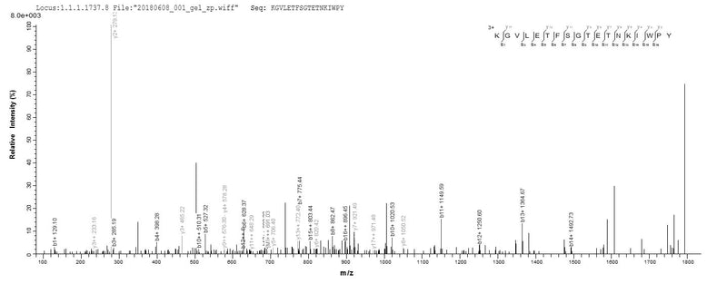 Based on the SEQUEST from database of E.coli host and target protein, the LC-MS/MS Analysis result of this product could indicate that this peptide derived from E.coli-expressed Homo sapiens (Human) AK3.Recombinant Human Gtp:Amp Phosphotransferase, Mitochondrial (AK3) Protein (His&Myc)