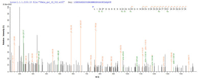 Based on the SEQUEST from database of E.coli host and target protein, the LC-MS/MS Analysis result of this product could indicate that this peptide derived from E.coli-expressed Homo sapiens (Human) NAGK.