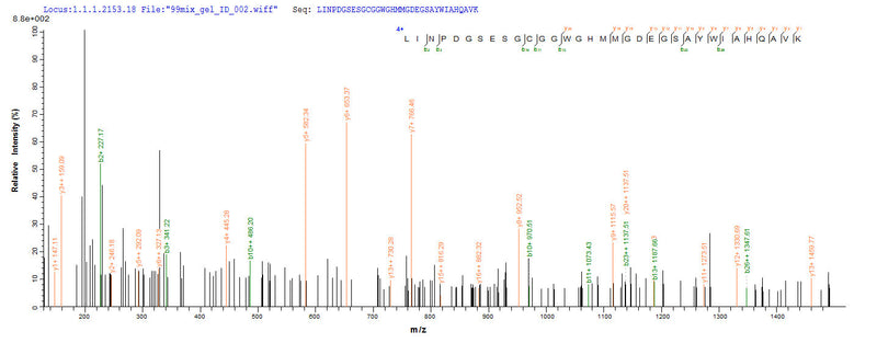 Based on the SEQUEST from database of E.coli host and target protein, the LC-MS/MS Analysis result of this product could indicate that this peptide derived from E.coli-expressed Homo sapiens (Human) NAGK.
