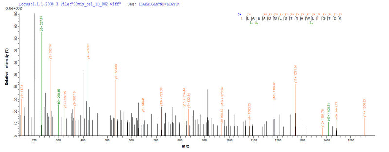 Based on the SEQUEST from database of E.coli host and target protein, the LC-MS/MS Analysis result of this product could indicate that this peptide derived from E.coli-expressed Homo sapiens (Human) NAGK.