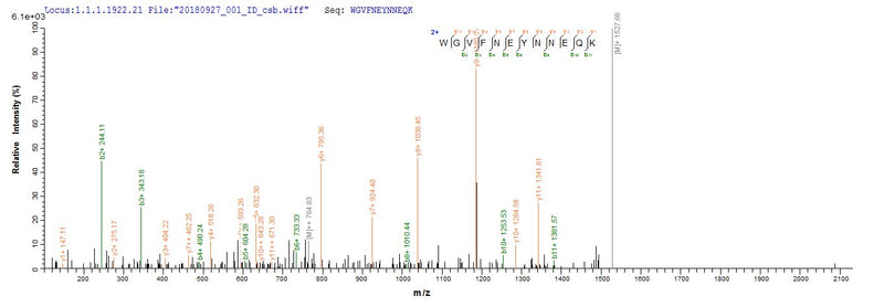 Based on the SEQUEST from database of E.coli host and target protein, the LC-MS/MS Analysis result of this product could indicate that this peptide derived from E.coli-expressed Sus scrofa (Pig) CLCA1.Recombinant Pig Calcium-Activated Chloride Channel Regulator 1 (CLCA1) Protein (His&Myc)