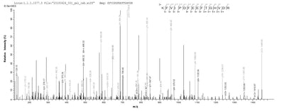 Based on the SEQUEST from database of E.coli host and target protein, the LC-MS/MS Analysis result of this product could indicate that this peptide derived from E.coli-expressed Homo sapiens (Human) GLS2.