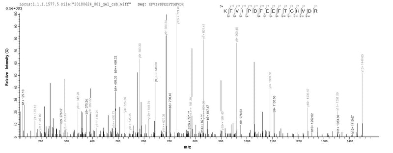 Based on the SEQUEST from database of E.coli host and target protein, the LC-MS/MS Analysis result of this product could indicate that this peptide derived from E.coli-expressed Homo sapiens (Human) GLS2.