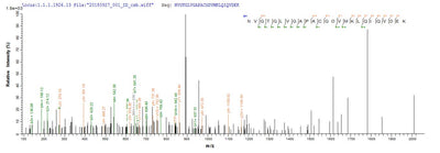 Based on the SEQUEST from database of E.coli host and target protein, the LC-MS/MS Analysis result of this product could indicate that this peptide derived from E.coli-expressed Homo sapiens (Human) ISCU.