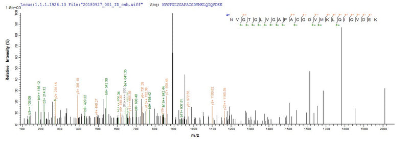 Based on the SEQUEST from database of E.coli host and target protein, the LC-MS/MS Analysis result of this product could indicate that this peptide derived from E.coli-expressed Homo sapiens (Human) ISCU.