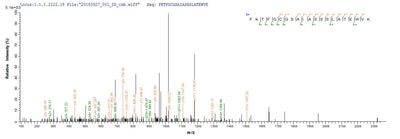 Based on the SEQUEST from database of E.coli host and target protein, the LC-MS/MS Analysis result of this product could indicate that this peptide derived from E.coli-expressed Homo sapiens (Human) ISCU.