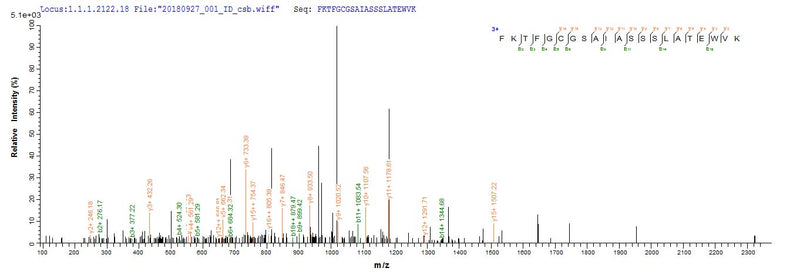Based on the SEQUEST from database of E.coli host and target protein, the LC-MS/MS Analysis result of this product could indicate that this peptide derived from E.coli-expressed Homo sapiens (Human) ISCU.