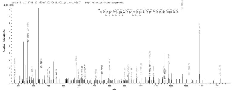 Based on the SEQUEST from database of E.coli host and target protein, the LC-MS/MS Analysis result of this product could indicate that this peptide derived from E.coli-expressed Homo sapiens (Human) ACTL8.