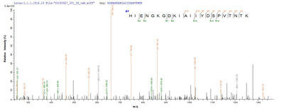 Based on the SEQUEST from database of E.coli host and target protein, the LC-MS/MS Analysis result of this product could indicate that this peptide derived from E.coli-expressed Homo sapiens (Human) ACSS3.