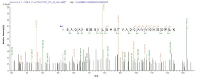 Based on the SEQUEST from database of E.coli host and target protein, the LC-MS/MS Analysis result of this product could indicate that this peptide derived from E.coli-expressed Homo sapiens (Human) ACSS3.
