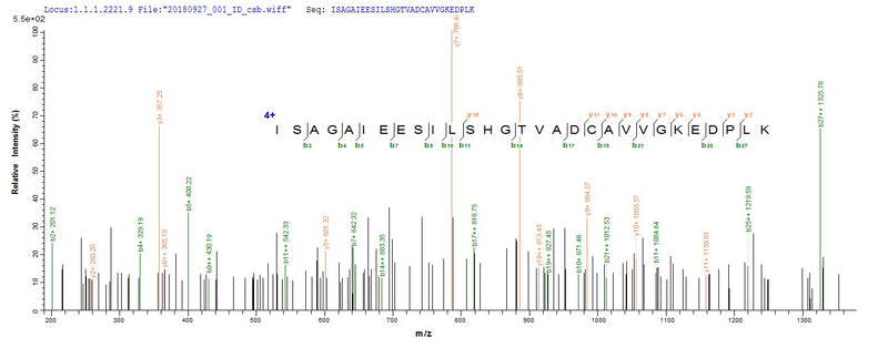 Based on the SEQUEST from database of E.coli host and target protein, the LC-MS/MS Analysis result of this product could indicate that this peptide derived from E.coli-expressed Homo sapiens (Human) ACSS3.