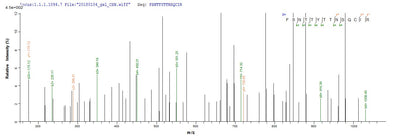 Based on the SEQUEST from database of E.coli host and target protein, the LC-MS/MS Analysis result of this product could indicate that this peptide derived from E.coli-expressed Homo sapiens (Human) ERVW-1.Recombinant Human Syncytin-1 (ERVW-1) Protein (His-SUMO)
