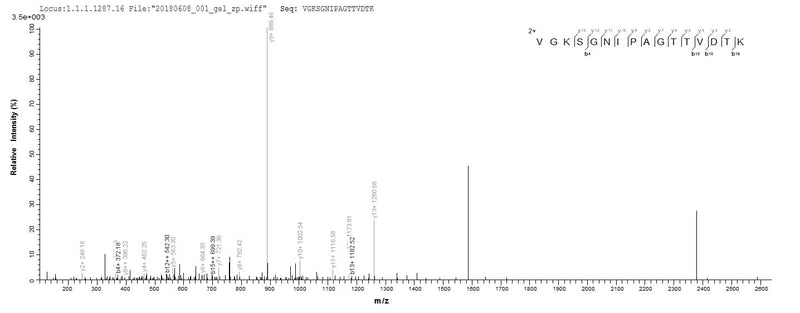 Based on the SEQUEST from database of E.coli host and target protein, the LC-MS/MS Analysis result of this product could indicate that this peptide derived from E.coli-expressed Homo sapiens (Human) AGO2.Recombinant Human Protein Argonaute-2 (AGO2) Protein (His)