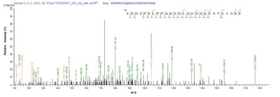 Based on the SEQUEST from database of E.coli host and target protein, the LC-MS/MS Analysis result of this product could indicate that this peptide derived from E.coli-expressed Homo sapiens (Human) METRN.Recombinant Human Meteorin (METRN) Protein (His&Myc)