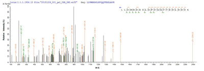 Based on the SEQUEST from database of E.coli host and target protein, the LC-MS/MS Analysis result of this product could indicate that this peptide derived from E.coli-expressed Homo sapiens (Human) FZR1.