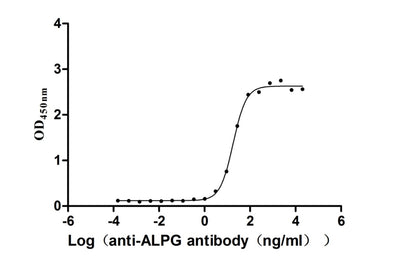 Activity Measured by its binding ability in a functional ELISA. Immobilized Human ALPG at 2μg/mL can bind Anti-ALPG recombinant antibody ， the EC 50 is 14.09-23.17 ng/mL. Biological Activity AssayRecombinant Human Alkaline Phosphatase, Germ Cell Type (ALPG) Protein (His), Active