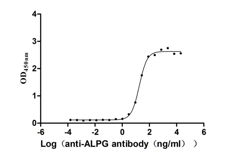 Activity Measured by its binding ability in a functional ELISA. Immobilized Human ALPG at 2μg/mL can bind Anti-ALPG recombinant antibody ， the EC 50 is 14.09-23.17 ng/mL. Biological Activity AssayRecombinant Human Alkaline Phosphatase, Germ Cell Type (ALPG) Protein (His), Active